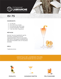 Cliquez ici pour voir la fiche du cocktail