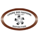 Distinction, Coupe des nations 2015